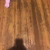 tina719