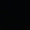 alisha__