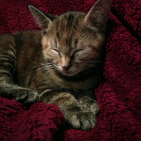 kiababe