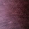 kimmy_4600