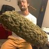 liltrippytse