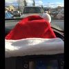 amyfarrell13