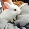 larrytiff88