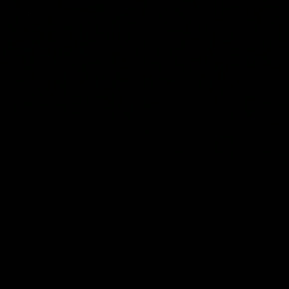 gibbsn6