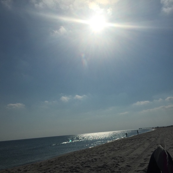 nubian_sunflwer