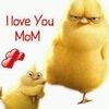 ducky114