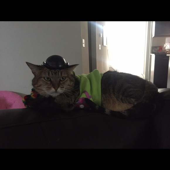 shooper007