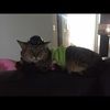 shooper007