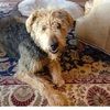 samjomax