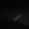 casey_mayon