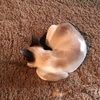 sarahmiller0623