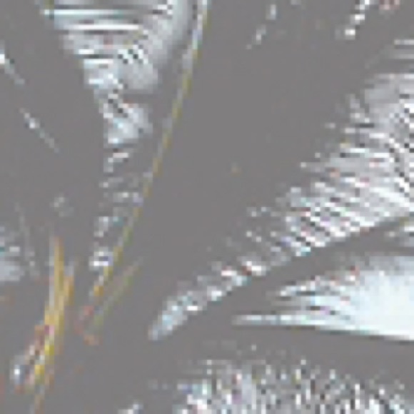 jay6743