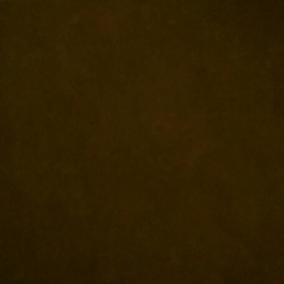 Poshmark profile picture for @vanquished