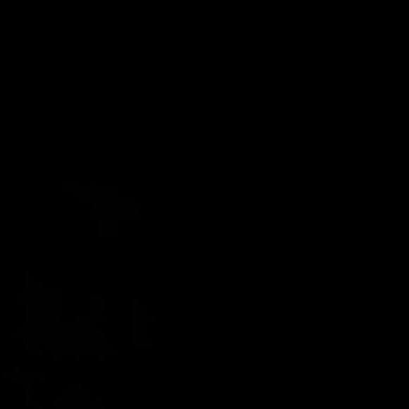 manningcrystal