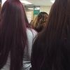 rosa_12110