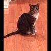 lorierb02
