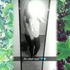 diana_ochoa65