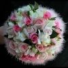 njaved64