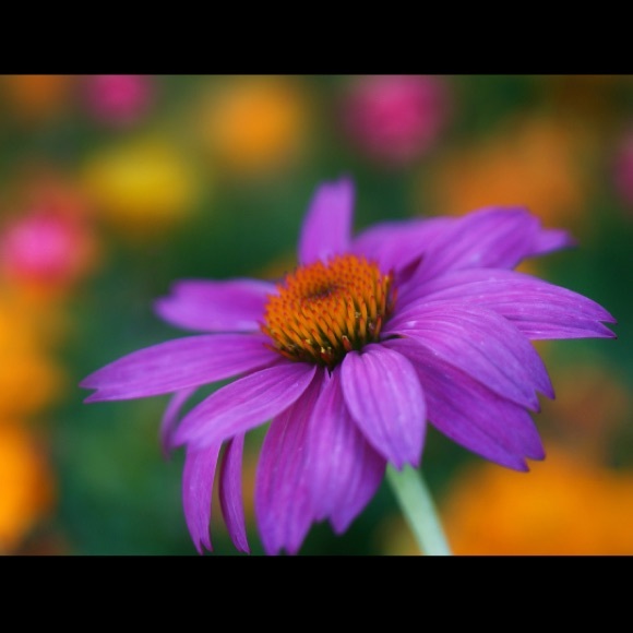jordaann_143