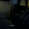 tanyalynn11