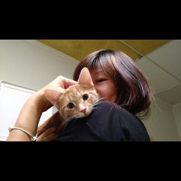 doraemom0812