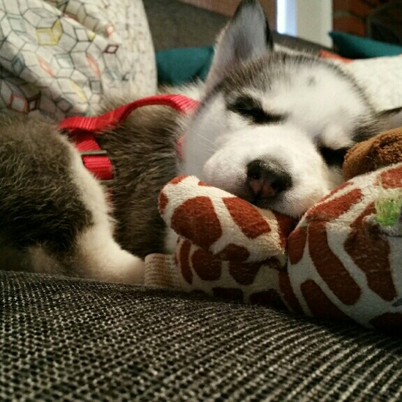 twoyenn