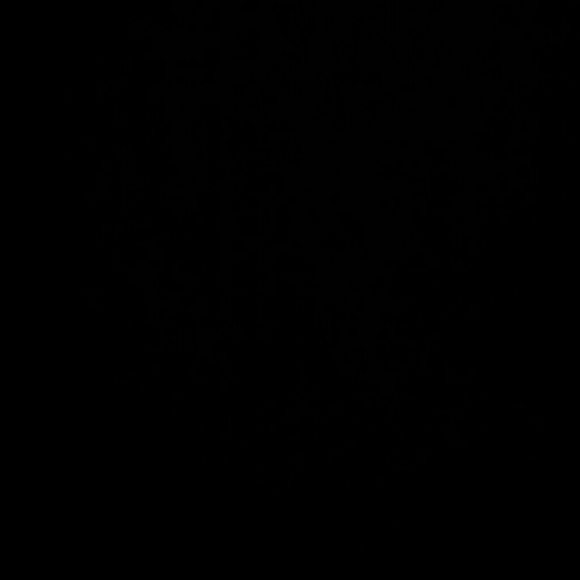 nae555