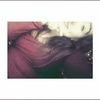 marie_3535