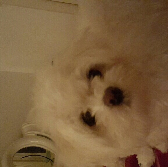 toby2000