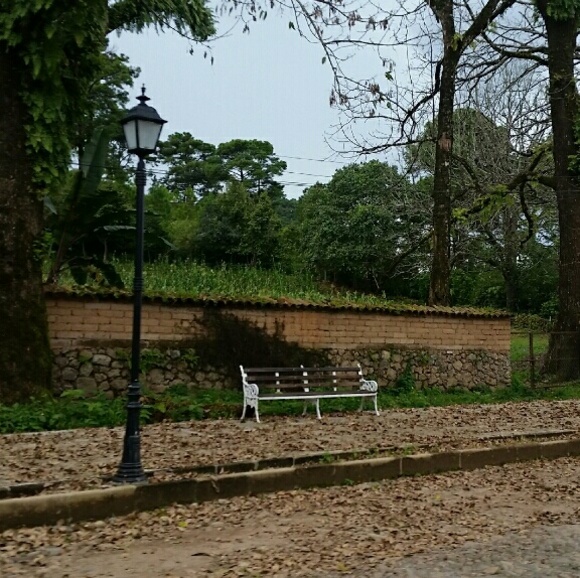 ja_sanchez