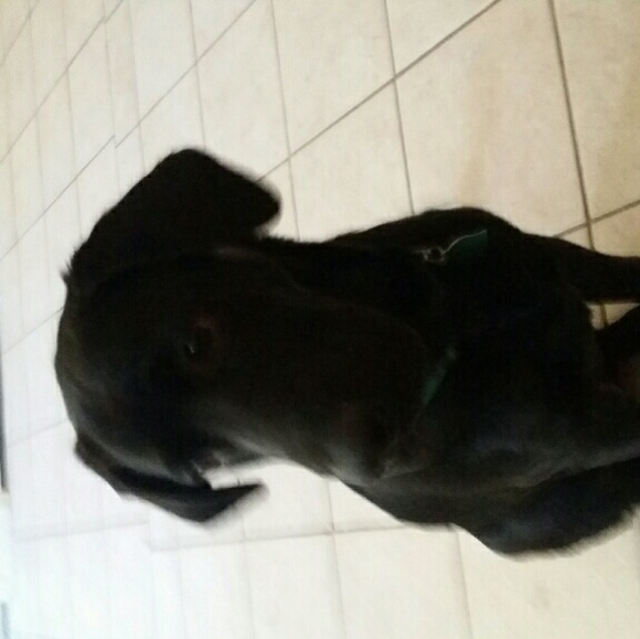 doug99