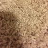 traciemoss24