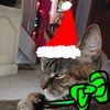 melshanboots01