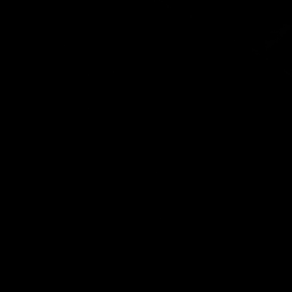 selenarosa99