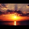 lily_8