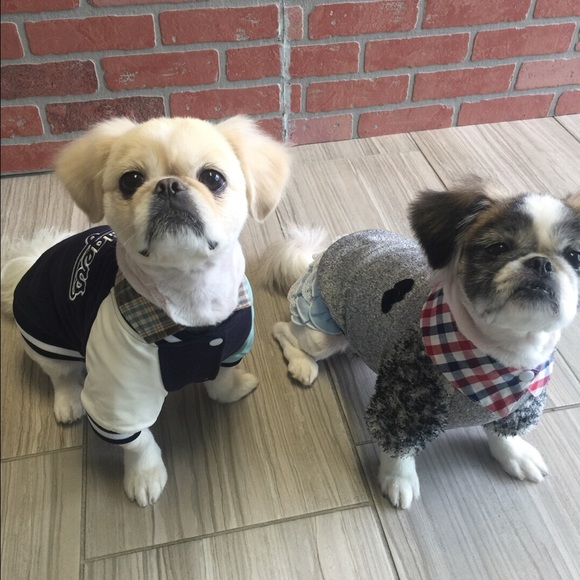 moonkim