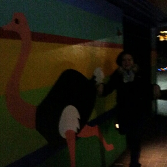 cwoll
