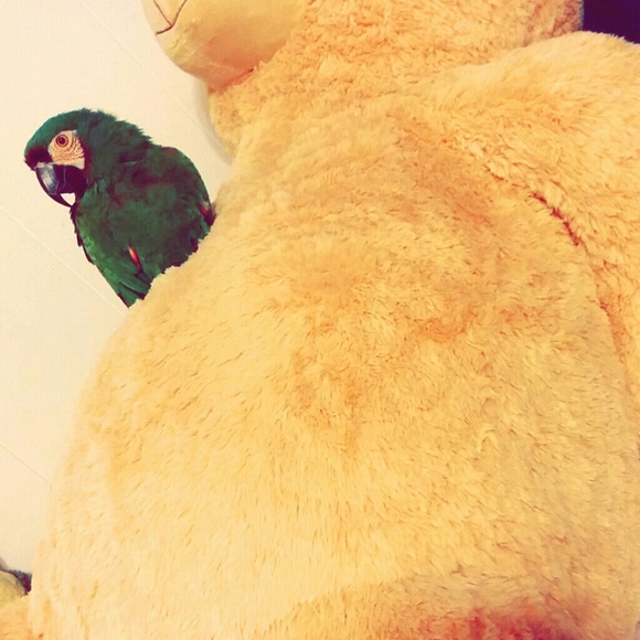 hhhhhsam