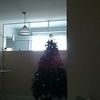 brendafields75