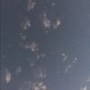 mblount123