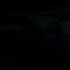 tayl0r_w