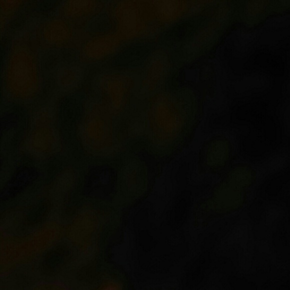 jason213