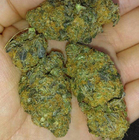 kkkadybugg
