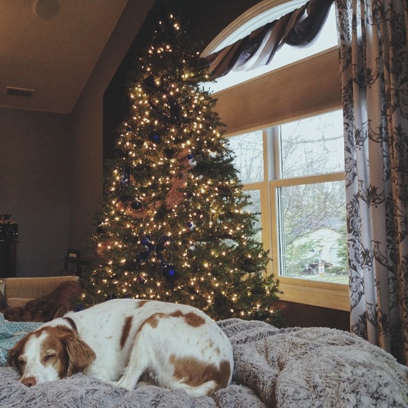 mkholly