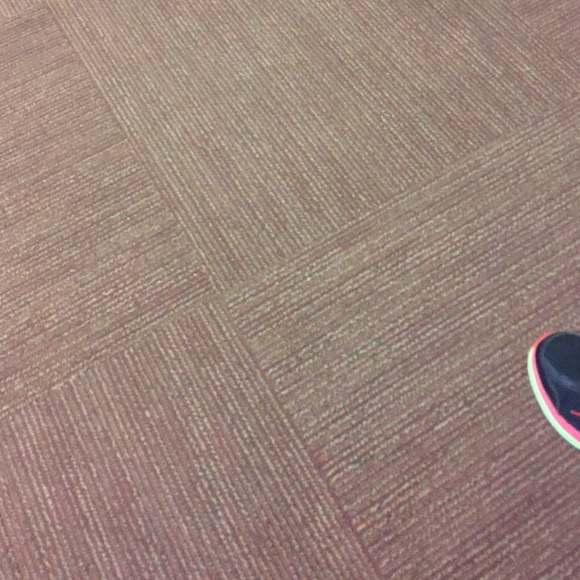 dbriggs234