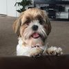 jasperbaby