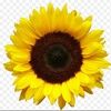 lorena_0928