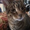 mjhess68