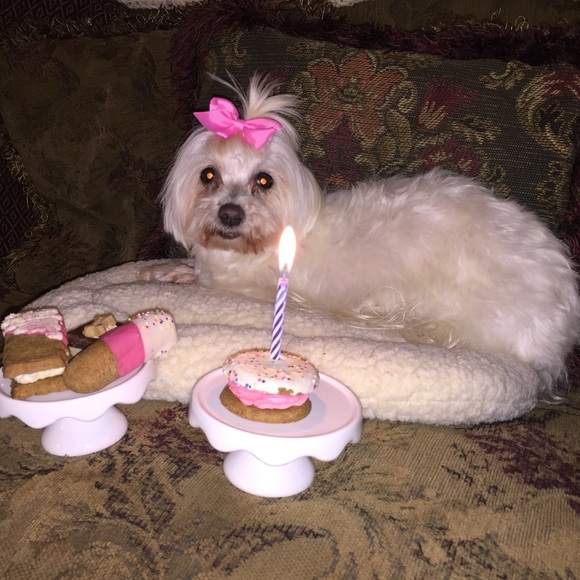 chloelucy