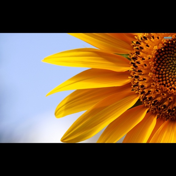 kpsunshine78
